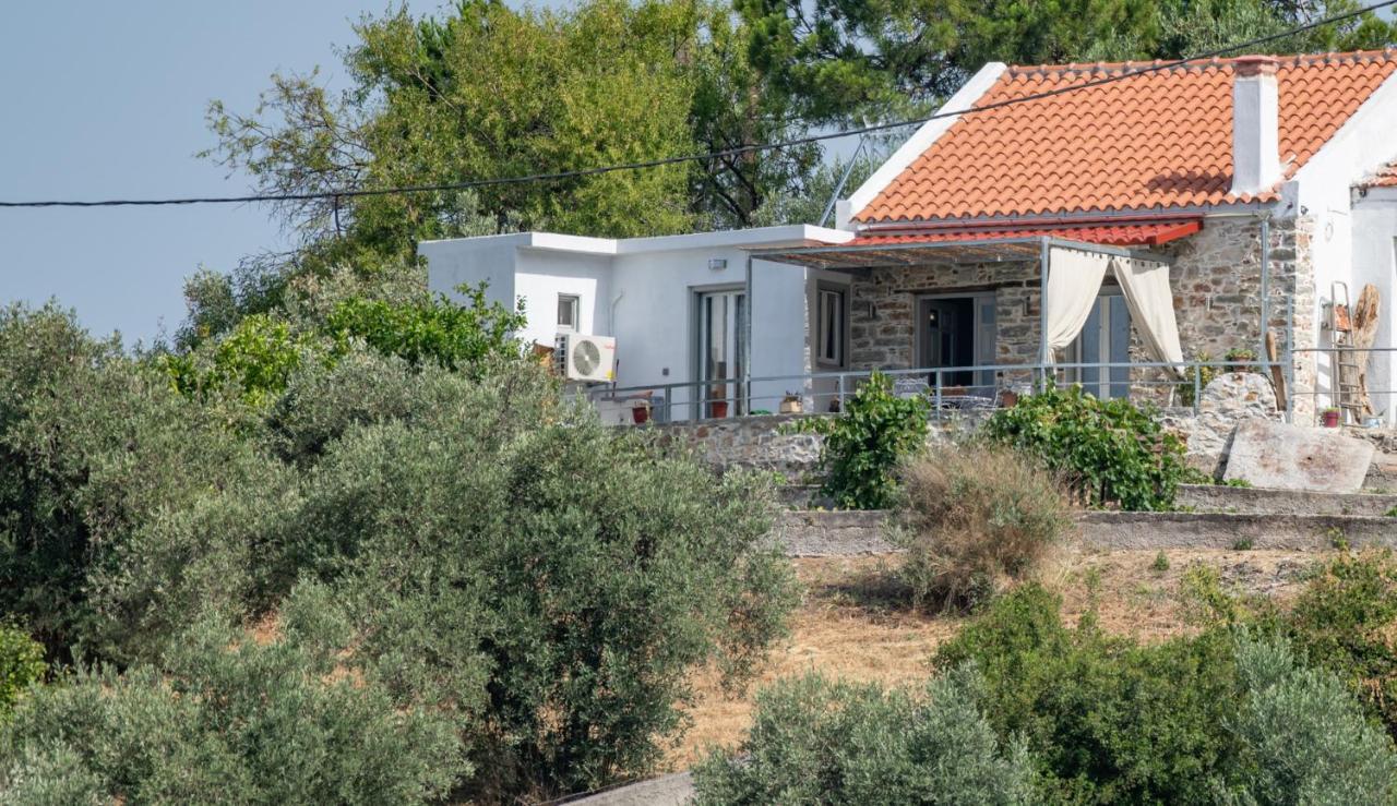 Oneiro Cottage Skopelos Exteriér fotografie