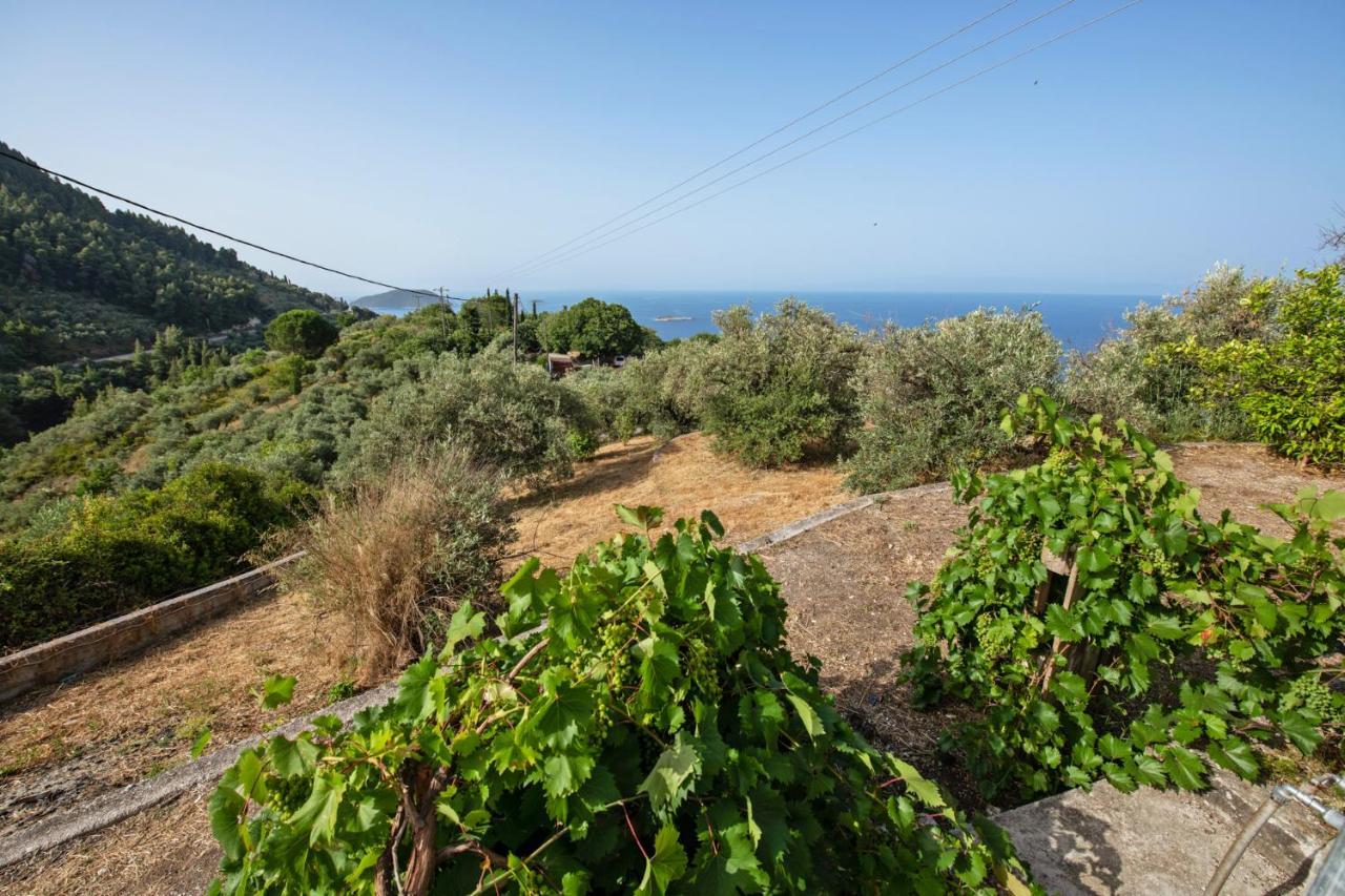 Oneiro Cottage Skopelos Exteriér fotografie
